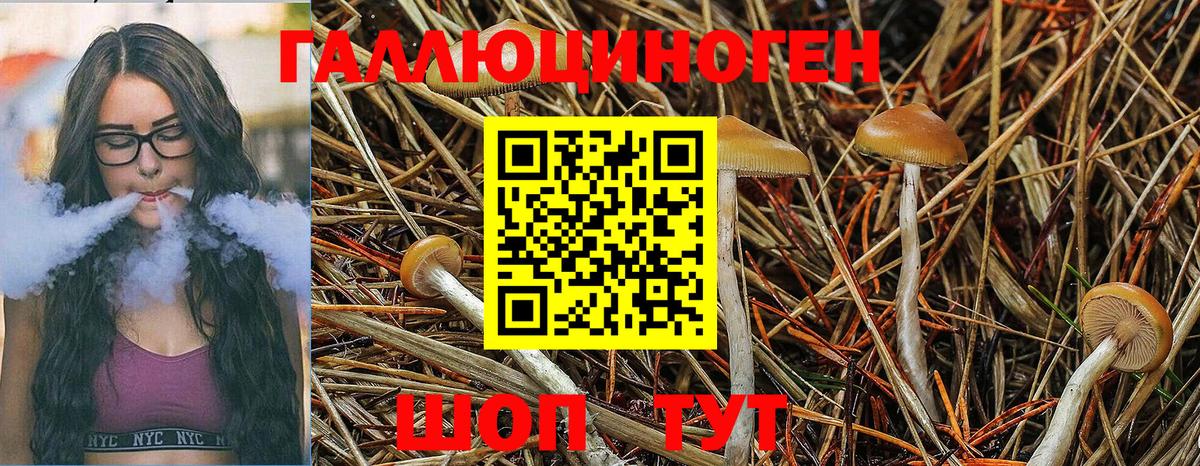 Псилоцибиновые грибы прущие грибы  Галлюциногенные грибы MAGIC MUSHROOMS  Кандалакша  Вход с VPN 